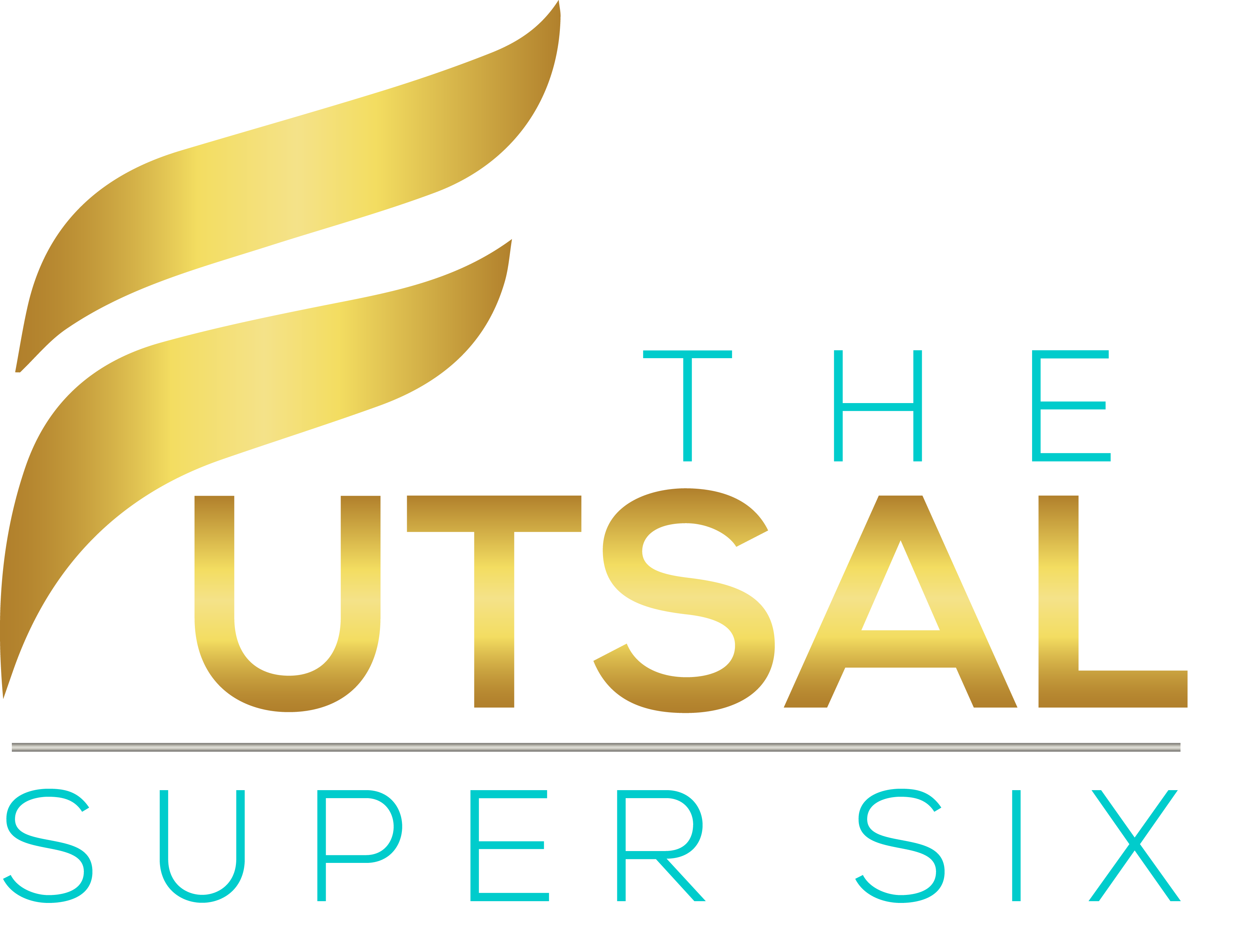The Futsal Super Six Club-logo